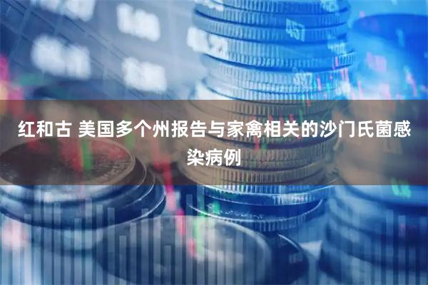 红和古 美国多个州报告与家禽相关的沙门氏菌感染病例